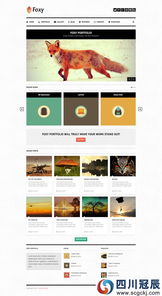 提升旅游網站用戶體驗 清晰設計與軟件開發精品案例分析