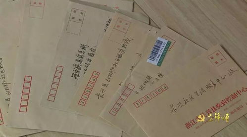 長(zhǎng)興縣社會(huì)創(chuàng)新中心黨支部 積極探索 黨建 模式,創(chuàng)新服務(wù)激活發(fā)展新動(dòng)能