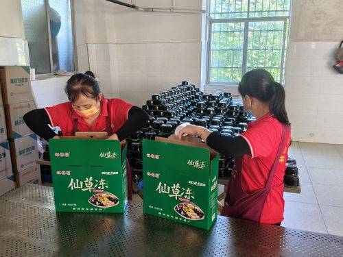贛州市年順食品廠 關注食品安全 共享健康生活